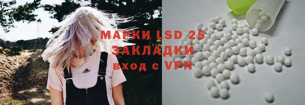 индика Алексин