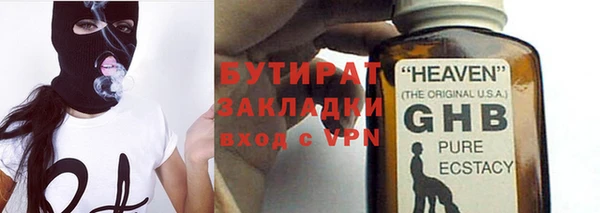 индика Алексин