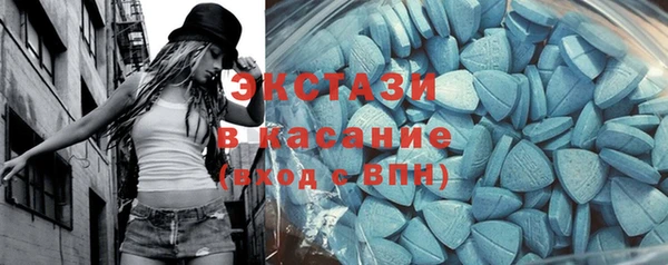 индика Алексин