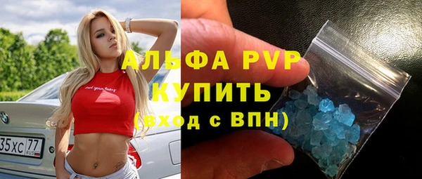 индика Алексин
