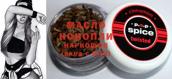 индика Алексин
